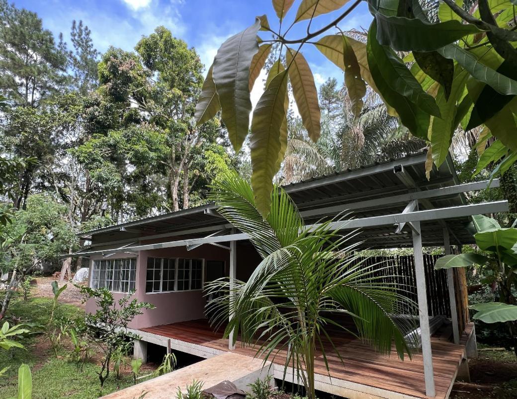 Monkey Lodge Panama Chilibre Esterno foto