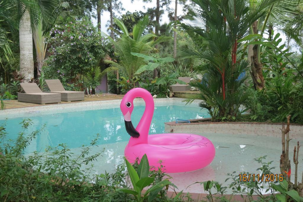 Monkey Lodge Panama Chilibre Esterno foto