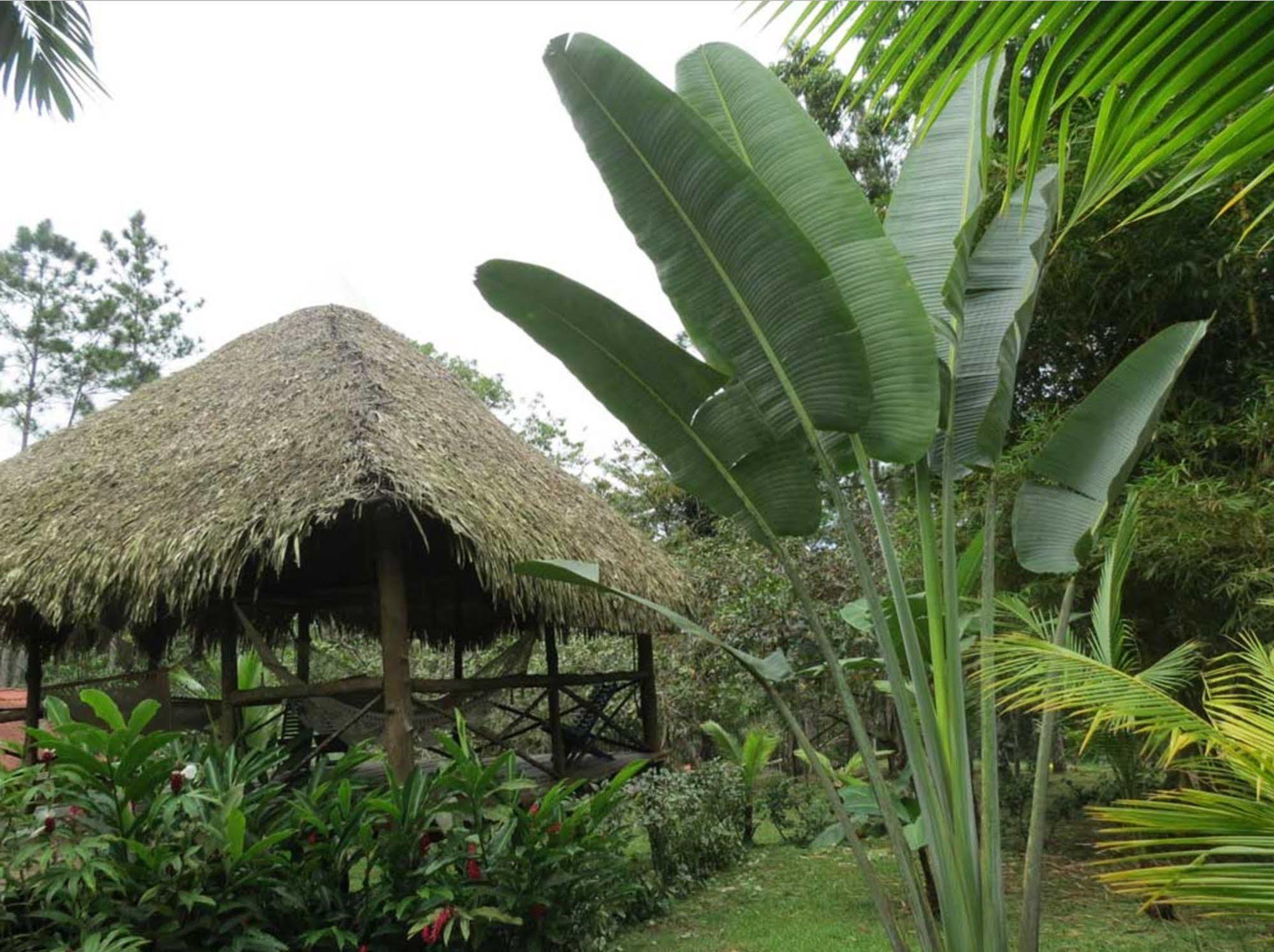 Monkey Lodge Panama Chilibre Esterno foto